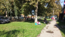 SZOTESZ Piknik