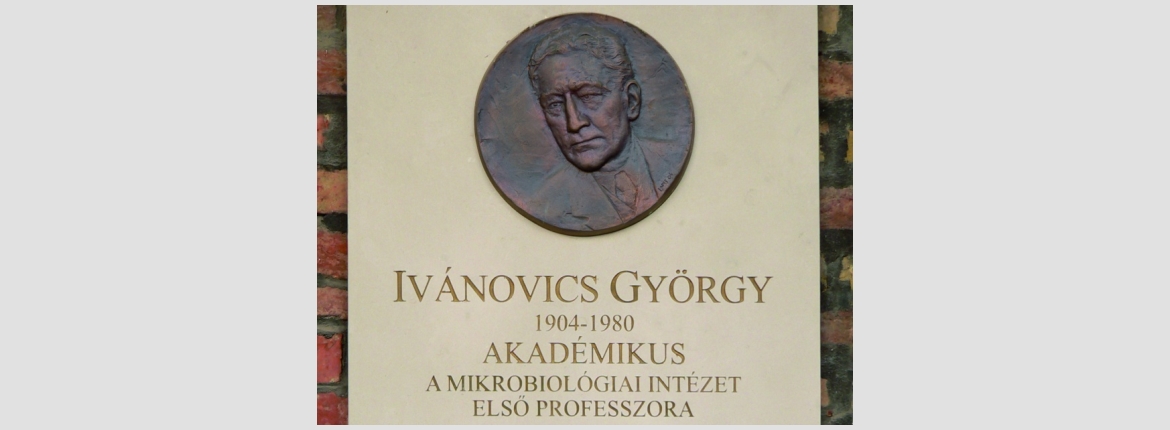Ivánovics György