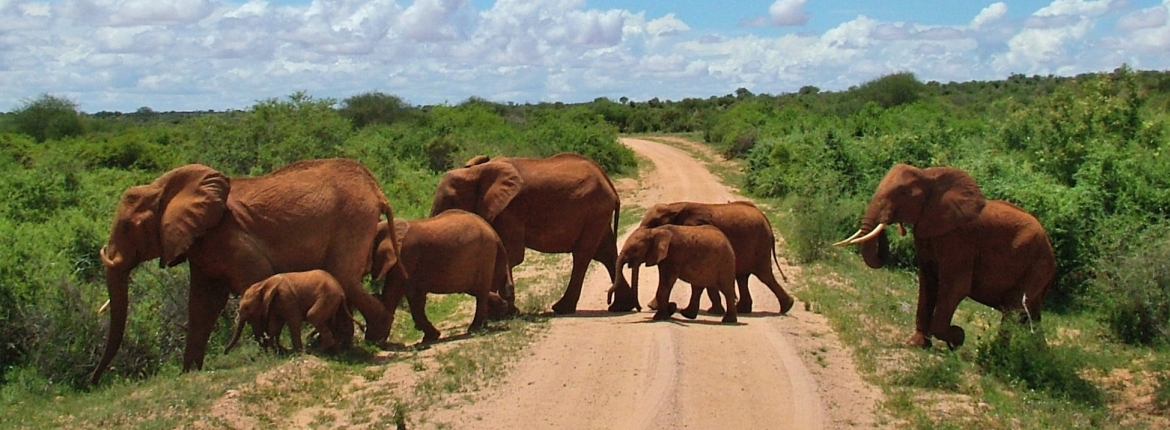 Kenya