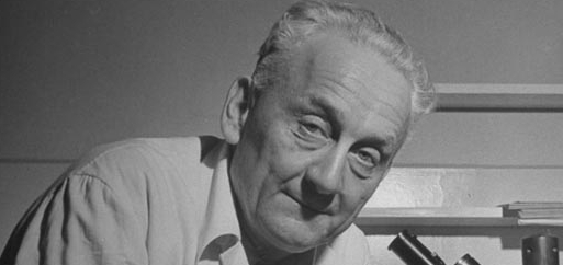 Prof. Albert Szent-Györgyi und die Universität Szeged