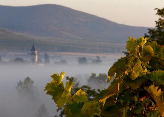 Tokaj Weingebiet