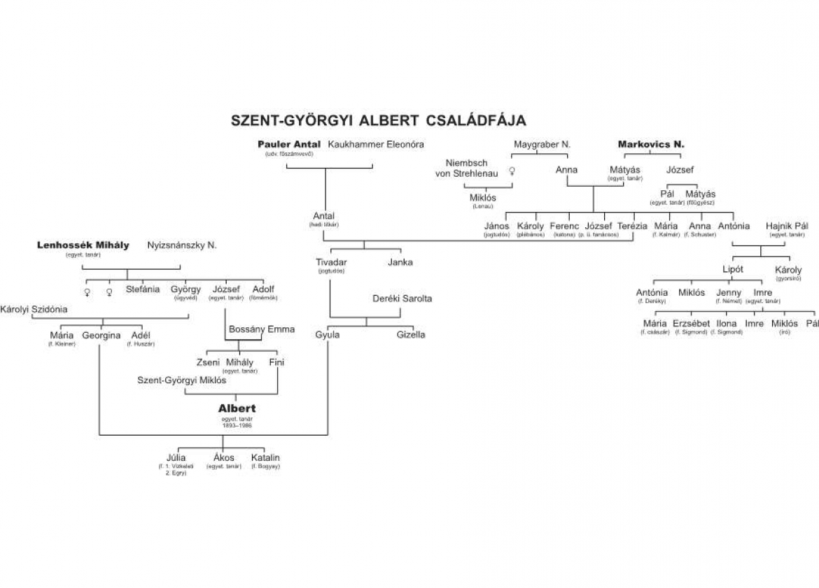 csaladfa-p1