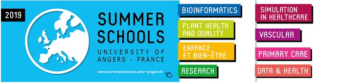 Angers_Summer_School