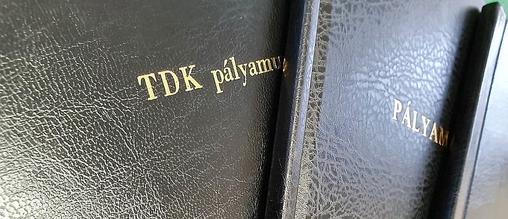 palyamunka