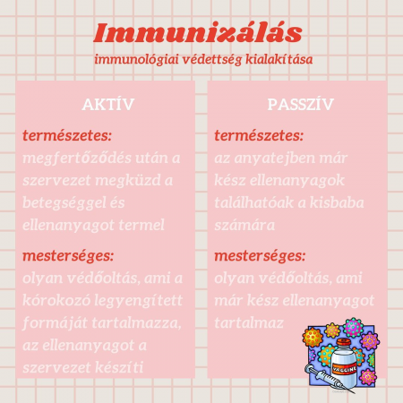 Immun_6