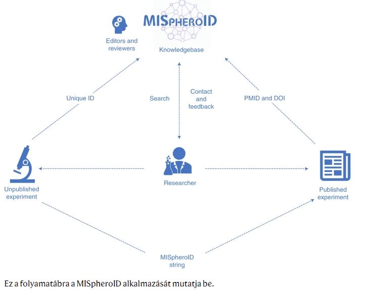 MISpheroID