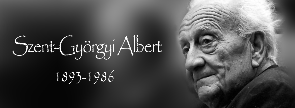 szent_gyorgyi_albert