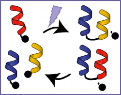 4-systems