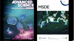msde