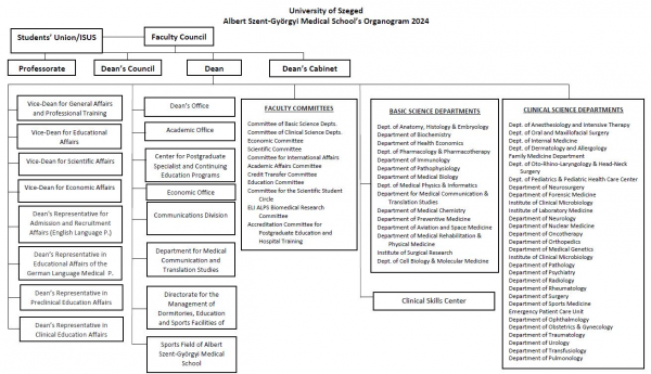 Organogram_2024