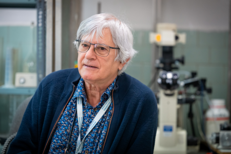 Dr. Varró András