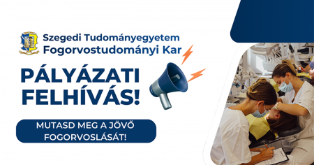 Palyazat_Adam_borito