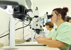 2019_12_3__2_400x284